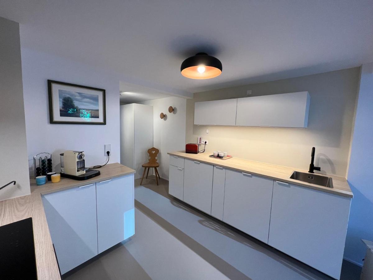 B71 - Appartement Im Herzen Des Schwarzwalds 슈람베르크 외부 사진